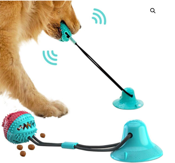 Dog playing with Furboni TugBuddy